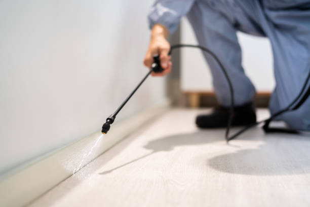 Licensed Bed Bug Control service in Trumbull Center, CT - Nex Pest Control