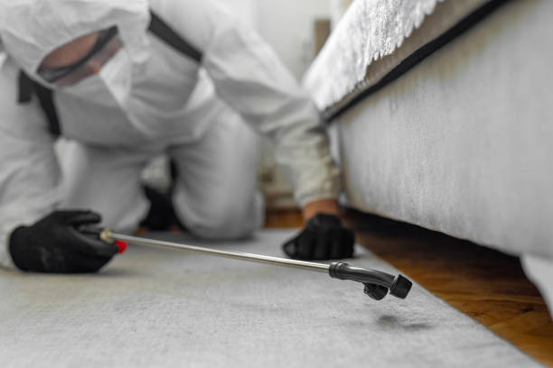 Professional Bed Bug Control technician working in Trumbull Center, CT