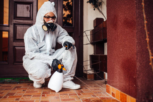 Reliable Bed Bug Control contractor in Trumbull Center, CT by Nex Pest Control