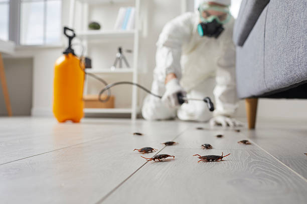 Trusted Fumigation Services service in Trumbull Center, CT - Nex Pest Control