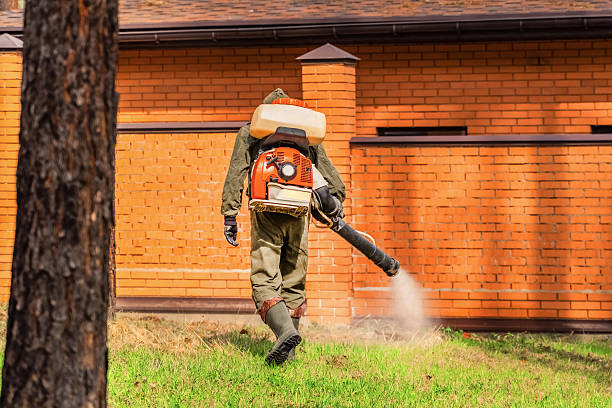 Trusted Rodent Control service in Trumbull Center, CT - Nex Pest Control